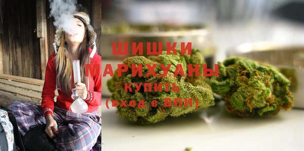 шишки Лиски
